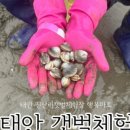 지산행복마트