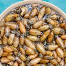 동아수산 이미지