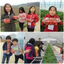 대관초등학교 이미지