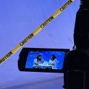 호성계곡 | 인생은 감자라는 말이 있습니다 #7월 일기