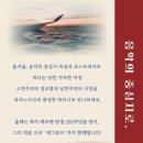 제14회 피아노 정기연주회 네이버블로그