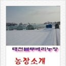 이병학농장 이미지