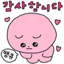 수원 매탄동 여드름 압출관리 김채주 스킨케어를 가다..