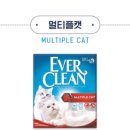 크린에버 이미지