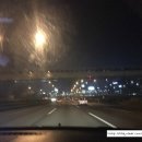 김정환농장 | 샘골농장 꿀키위,등촌동 SBS 간 날!