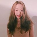 연정과 이미지