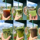 남강초등학교 | 강릉 초당동 카페 "말차로" 애견 동반 가능한 말차전문점 내돈내산 솔직후기