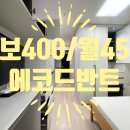 에코드반트 이미지