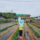 경영호 이미지