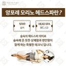 에이치 헤어살롱 이미지