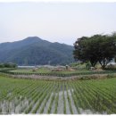 고인돌 오토캠핑장 이미지