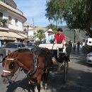 태양의 해변 이미지