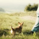 24시 라인동물의료센터 이미지