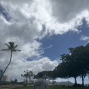 거북이 | 하와이 신혼여행 거북이 스노클링 내돈내산 후기