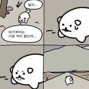 동아대학교 기숙사 | [한 학기 교환학생]중국 교환학생 총 후기/느낀 점