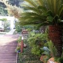 햇살정원 제주캠핑민박 이미지