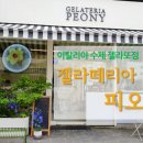 젤라떼리아피오니 - 강동구 성안로 7 | 젤라떼리아피오니
