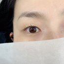 제이온속눈썹&눈썹 | 범계속눈썹펌 제이온 속눈썹 펌 후기