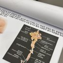 피부미인 관리실 이미지