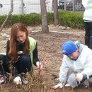 당고개약국 Daum카페