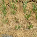 월야농장 이미지