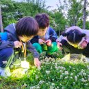 [덕계]자연과 함께하는 숲 생태놀이 | 경기 시흥 숲체험 추천! 깨비의숲마을 시흥갯골생태공원 가을 자연 체험 후기
