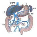 四字成語 총정리 ㅁ 275 문답학교~문맥광고