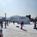 테마와 하루(지역축제 체험) | [강원도 평창] 2026 대관령 눈꽃축제 후기🤍