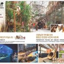 알파메디컬센터 이미지