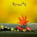 2025 단풍 &amp; 억새 절정 시기 이미지