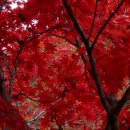 너랑나랑콘도 이미지