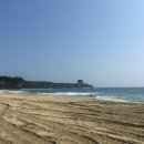 금진해수욕장 네이버블로그