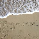 스위티 Daum카페