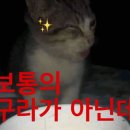 호브로