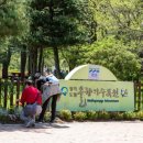 차리인동네 이미지