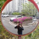 포항 임장 대잠동 : 대잠 트리니엔/ 대잠 아델리아 / 포항 시청/ 성모병원/ 대잠그린파크/ 이동현대...