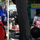 태하 성하신당 이미지