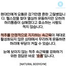 내추럴건강