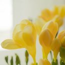 냅킨&토탈공예 | 처음이라 망설였던 분들이 더 만족하고 가는 이유(원데이 클래스 후기)