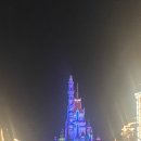 러브웨이 | 베비 샤샤샤 샹하이 러브~