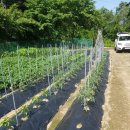 희진농장 이미지