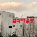 대전 모다아울렛 스튜디오 톰보이 쇼핑 후기
