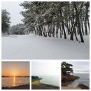 백사장사계절숲속야영장 이미지