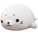 바디 이미지