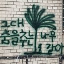 장군보쌈 이미지