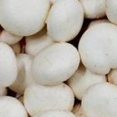 양송농장 네이버블로그