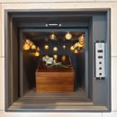 (주)펫노블레스 이미지