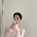 벨라로그 이미지