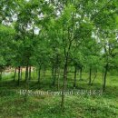 느릅농장 이미지