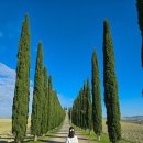 큰몰민박 이미지